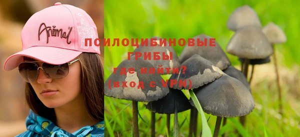 тгк Абдулино