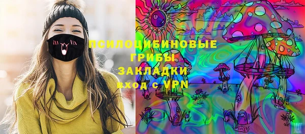 гидра Алексин