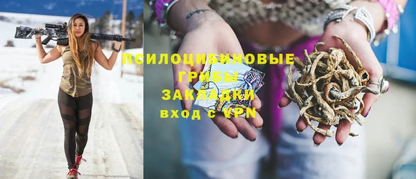 шишки Алексеевка