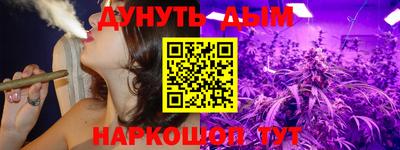 дживик Гатчина