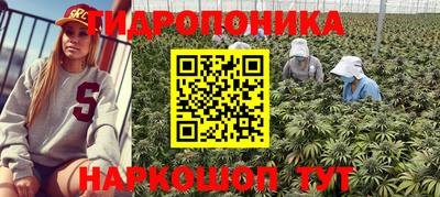 дживик Гатчина
