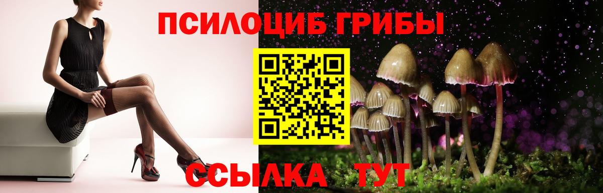 Галлюциногенные грибы Magic Shrooms  Вход с VPN  закладка  Лабинск  Галлюциногенные грибы мухоморы 