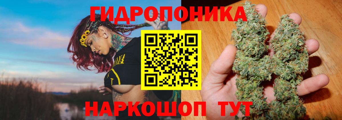 Бошки Шишки AK-47  Вход с VPN  Канабис планчик  Лабинск  Конопля гибрид 